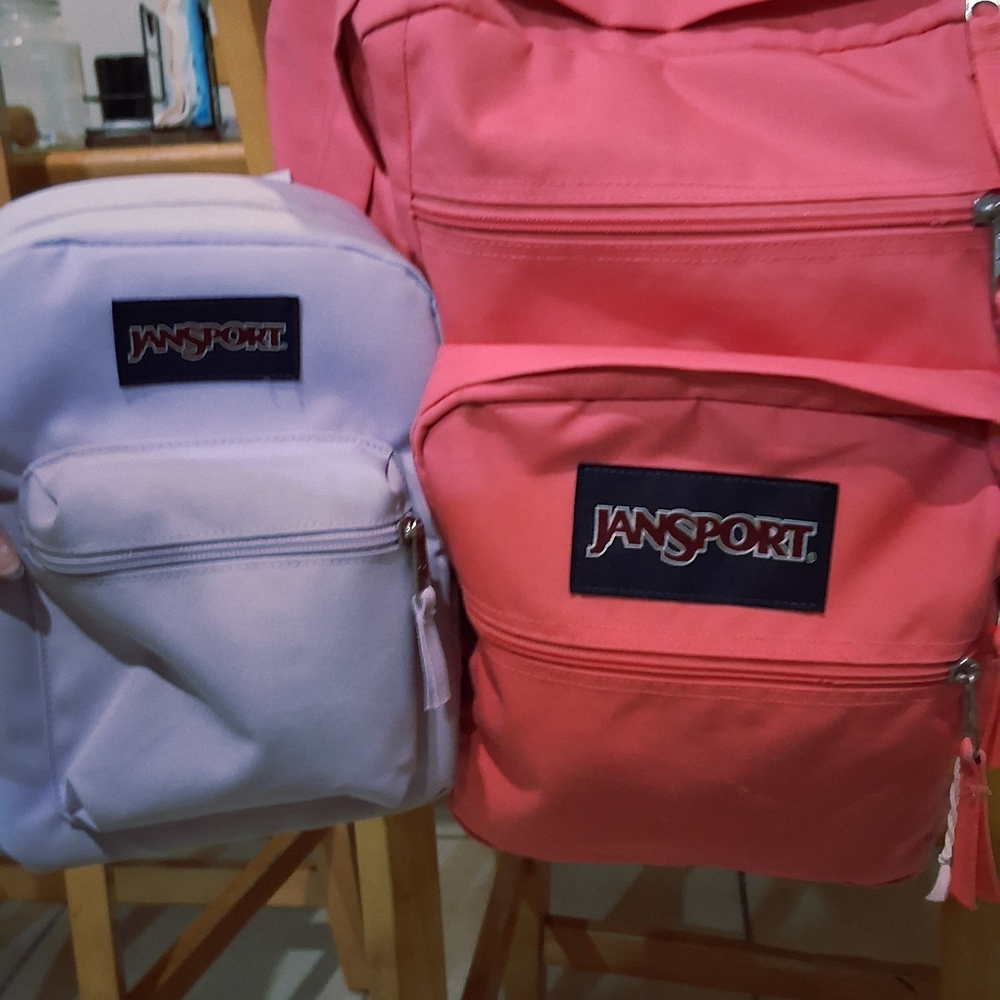 JanSport Pink Backpack and Lavender Lunchbox Backpack Set